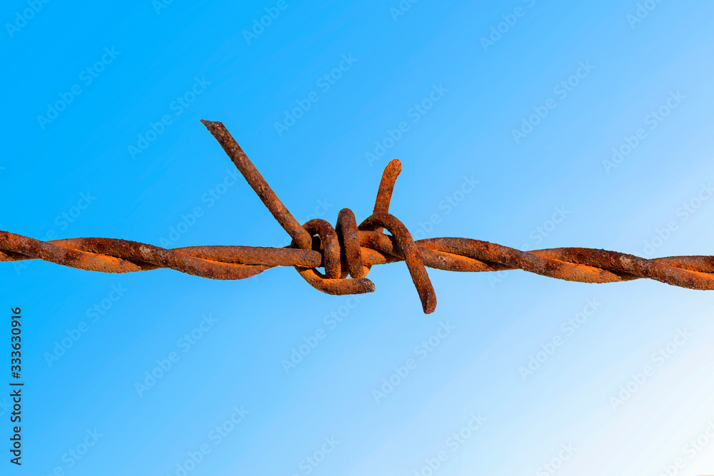 Wall mural rusty barbed wire with blue sky.