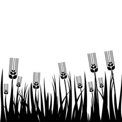 Wheat field background. Cereals icon set with rice, wheat, corn, oats, rye, barley isolated on white background