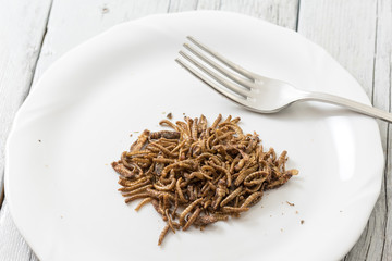 Fried cricket larvae