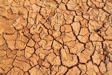 Dry cracked earth background in arid season. Many Province of North East in Thailand the ground dry. Brown cracked soil in the summer When water in Mekong, canal, brook, reservoir, dry up. Dryness.
