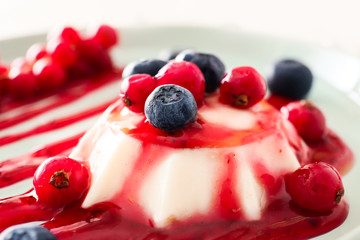 Plate with tasty panna cotta, closeup