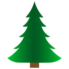 Green spruce icon. Isolated on a white background