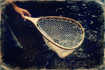 Male brook trout in a landing net, old photo effect.