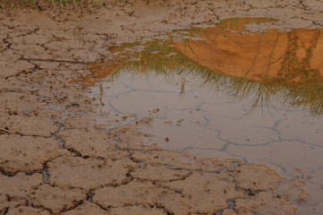 Dry cracked earth background in arid season. Many Province of North East in Thailand the ground dry. Brown cracked soil in the summer When water in Mekong, canal, brook, reservoir, dry up. Dryness.