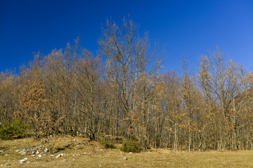 Paysage d'hiver dans les Abruzzes en Italie