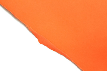 ripped paper isolated on white background with copy space for text