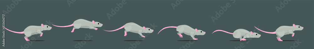 Wall mural mouse or rat running animation loop. animated 2d character in a cartoon style.