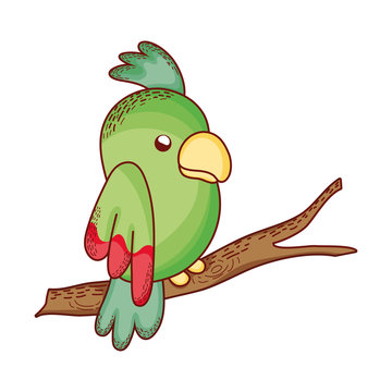 cute parrot in branch tree cartoon isolated icon design