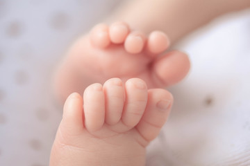 newborn baby feet on a white background