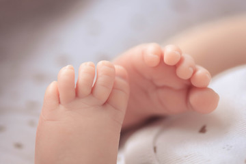 Obraz na płótnie Canvas newborn baby feet on a white background