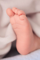 little newborn baby foot on the pink blanket