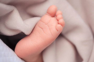 little newborn baby foot