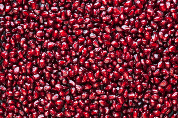 A lot of peeled pomegranate's seed