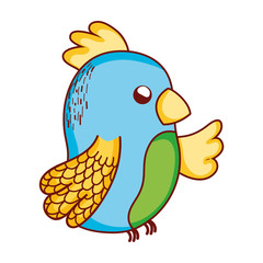 cute tropical bird parrot cartoon isolated icon design
