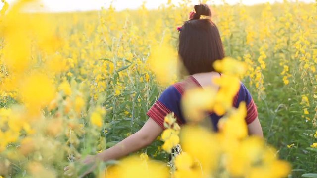 Girls enjoy Crotalaria flower in field at sunset