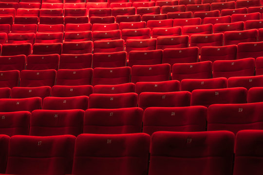 Cinema Auditorium With One Reserved Seat