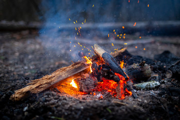 Campfire with sparks in forest outdoor camping