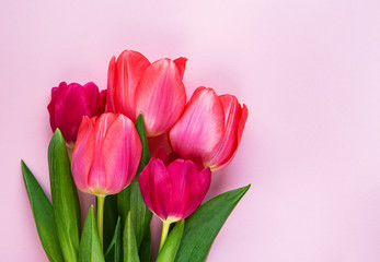 Beautiful tulips bouquet