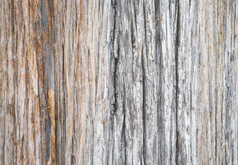 Tree bark surface backdrop template