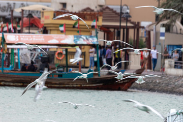 Dubai Abra - Dubai Creeks
