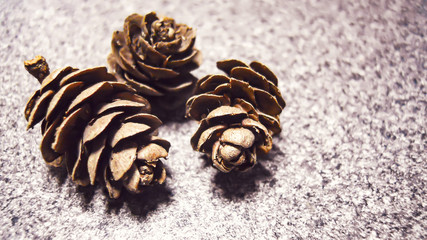 three brown larch cones on a gray stone background. selective focus in the center