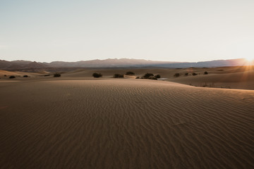 Mesquite Ebene im Death Valley am Morgen