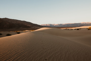 Fototapeta na wymiar Mesquite Ebene im Death Valley am Morgen
