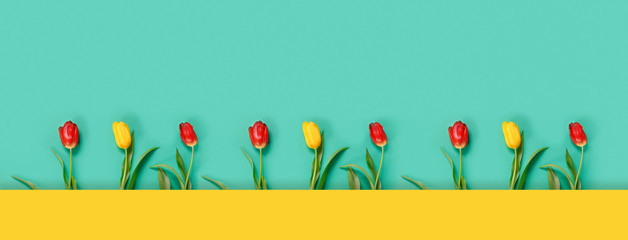 Beautiful card with yellow and red tulips for congratulation invitation or banner. - Powered by Adobe