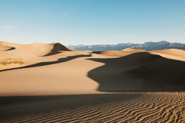 Mesquite Ebene im Death Valley am Morgen