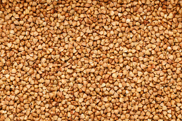 Buckwheat background. Texture top view.