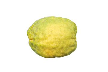Giant lemon fresh organic isolated on white background , clipping path