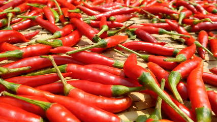 red chili peppers on a wooden background