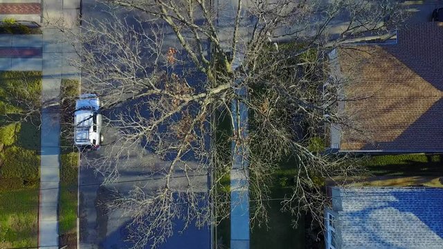 Unique Bird's Eye View of Urban Neighborhood Trees