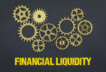 Financial Liquidity 