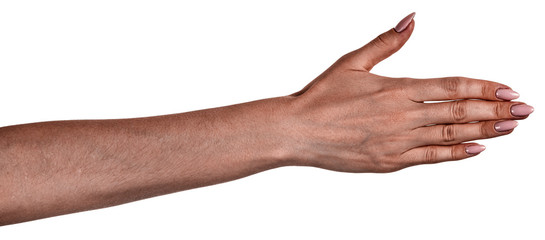 Female black hands isolated white background showing gesture holds something or takes, gives. african woman hands showing different gestures