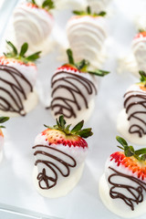 Chocolate dipped strawberries