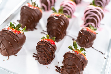Chocolate dipped strawberries