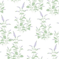 Hand drawn Mint grass pattern seamless. Vector illustration. Menthol leaves background. Print for fashionable textile.