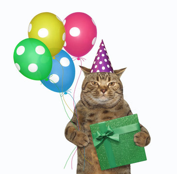 The beige cat in a birthday hat is holding multi-colored balloons and a green gift box. White background. Isolated.