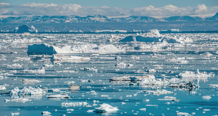 Arctic nature landscape with icebergs in Greenland icefjord. View from a nearby hill, overlooking  icebergs from Jakobshavn Glacier aka Sermeq Kujalleq glacier.  West Greenland . © Uryadnikov Sergey