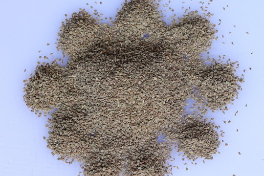 Herbal ajwain seeds over white background