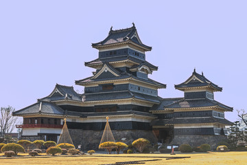 春の松本城の風景