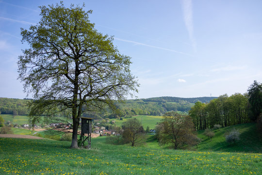 View of an idyllic valley in the Odenwald of a village and mountains with a single tree, a meadow with yellow flowers and a raised blind
