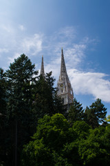 cathedral towers above the forest canopy