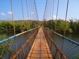 River Bridge in Jungle