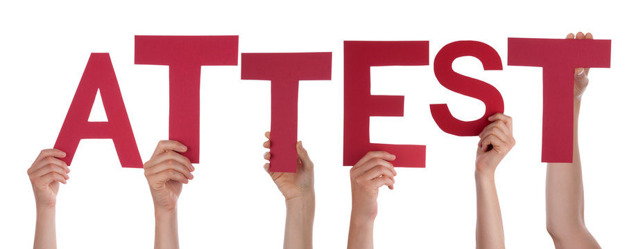 People Hands Holding Colorful German Word Attest Means Attestation. White Isolated Background