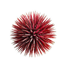 Corona virus icon. Coronavirus 2019-nCoV isolated on white background. China pathogen respiratory infection asian flu outbreak. 3d render.