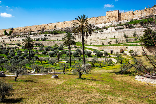View of the Golden Gate of the walls of the old city of from the Mount of Olives. Mount of Olives - since biblical times, there was a Jewish cemetery. Middle East, Jerusalem, Israel.