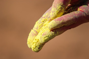 caterpillar on leaf