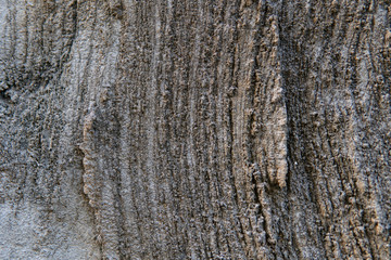 concrete wall texture close-up